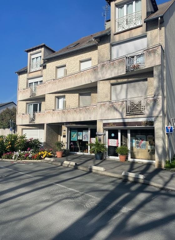 Murs commerciaux CHILLY MAZARIN (91380) 123 Commerce