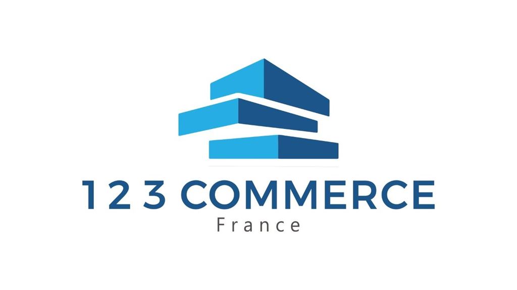 Terrain BALLAINVILLIERS (91160) 123 Commerce