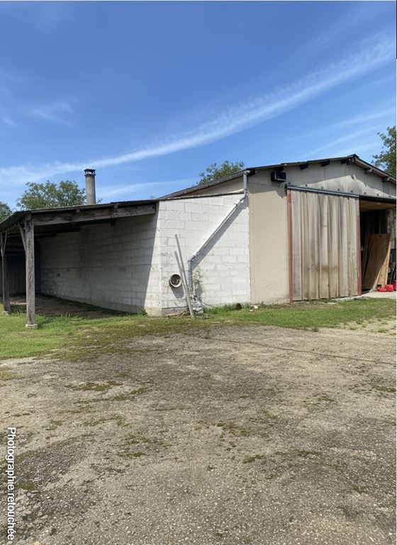 Entrepôt DRAVEIL (91210) 123 Commerce