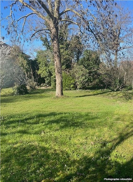 Terrain DRAVEIL (91210) 123 Commerce