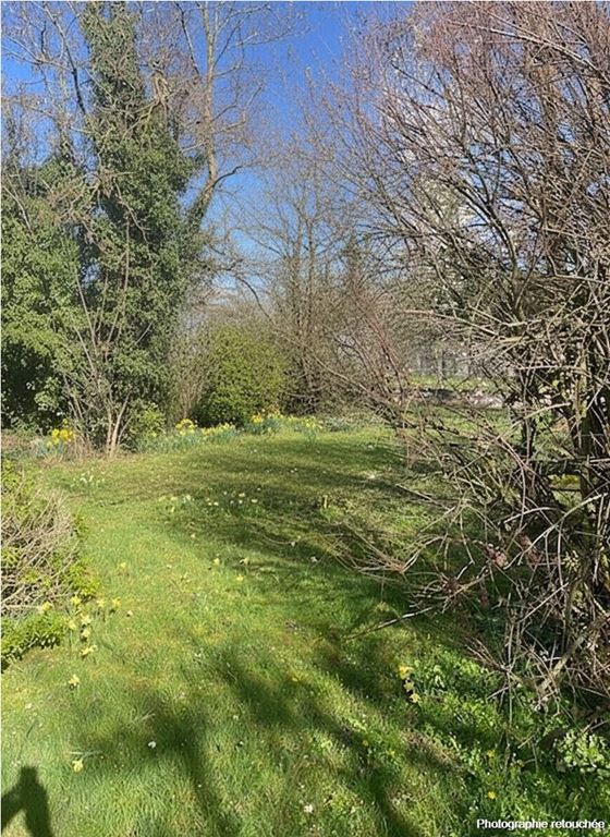 Terrain DRAVEIL (91210) 123 Commerce