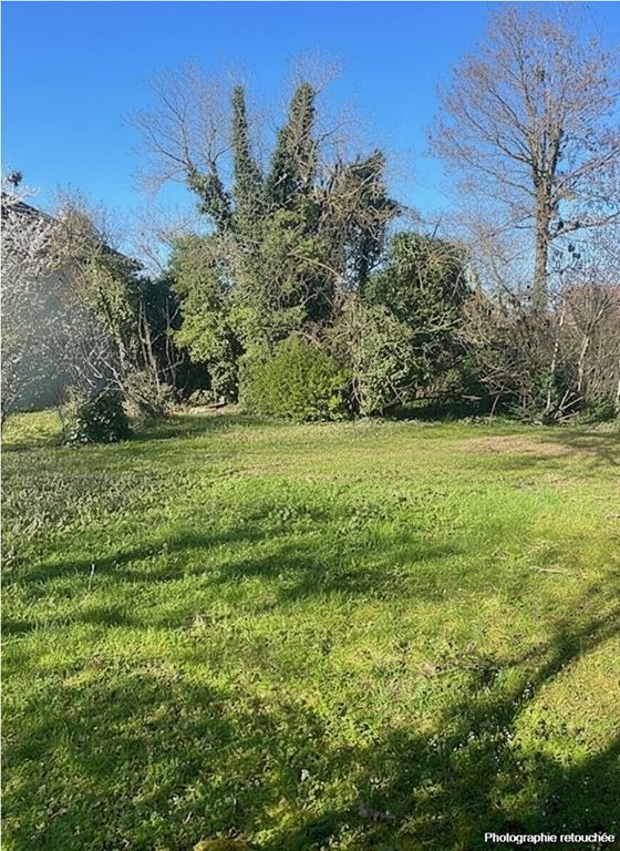 Terrain DRAVEIL (91210) 123 Commerce