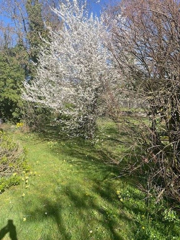 Terrain DRAVEIL (91210) 123 Commerce